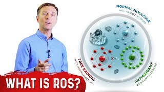 What Are Reactive Oxygen Species ROS  Dr Berg [upl. by Alba]