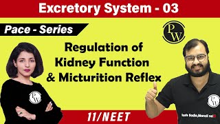 Excretory System 03  Regulation Of Kidney Function  Micturition Reflex  Class 11  NEET [upl. by Veronike]