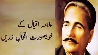 Allama Iqbal Aqwal e Zareen  Allama Iqbal Motivational amp Inspirational Quotes In Urdu Hindi [upl. by Amal907]