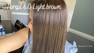 HOW TO COLOR YOUR HAIR AT HOME LOreal 60 LIGHT BROWN ellen James Vlogs [upl. by Iamhaj]