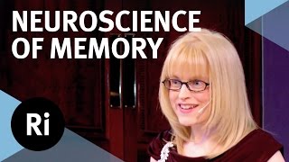 The Neuroscience of Memory  Eleanor Maguire [upl. by Neelrahs298]