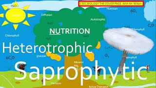 Autotrophic Heterotrophic and Saprophytic Nutrition  CSEC BIOLOGY TCP [upl. by Sharia]