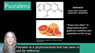 Plant Secondary Metabolites Phenolics [upl. by Donetta109]