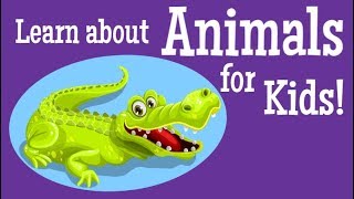 Learn about Animals for Kids [upl. by Lura220]