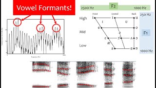 Speech Acoustics 5  vowel formants [upl. by Akemal]