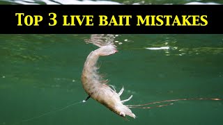 Top 3 LIVE BAIT RIGGING MISTAKES Underwater Evidence [upl. by Eivets]