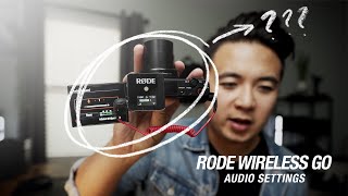 Rode Wireless GO  Audio Settings for the Sony Cameras [upl. by Cesare28]