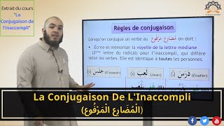 Apprends la conjugaison de linaccompli مضارع مرفوع en arabe Extrait 19 [upl. by Mylo608]