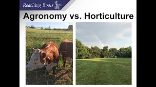 Whats the difference between Horticulture and Agronomy [upl. by Yelsa]