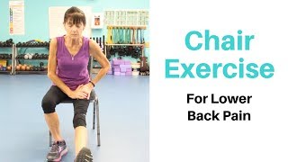 Chair Exercise For Low Back Pain [upl. by Lewak]