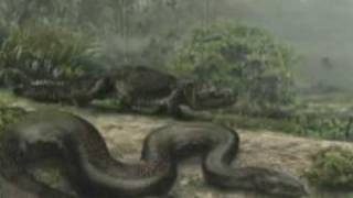 Titanoboa  The Worlds Largest Snake [upl. by Giliana]