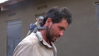 Baby Vervet Monkey Rescued from African Brush Fire [upl. by Nell982]