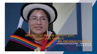 Diversidad étnica y cultural en América Latina [upl. by Ahseia]