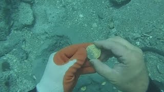 Lost treasure found in the San Jose galleon in Colombia [upl. by Etnom]