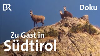 Berggasthöfe und Buschenschänken in Südtirol  Unter unserem Himmel  BR  Doku  Berge [upl. by Rosanna214]