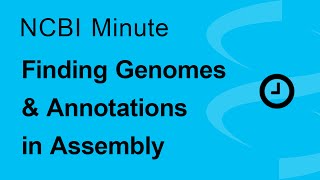 The NCBI Minute Finding Genomes and Annotations in Assembly [upl. by Robbin33]