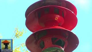 A very unique airraid siren recording [upl. by Bedell]