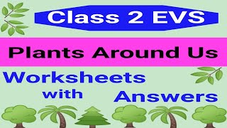 Plants Around Us  Class 2 EVS Worksheet  Class 2 EVS  EVS Worksheet for Class 2 Plants [upl. by Jeremias120]