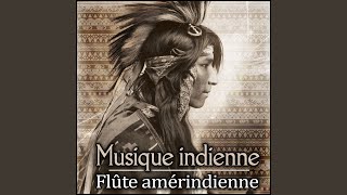 Musique amérindienne [upl. by Adlez]