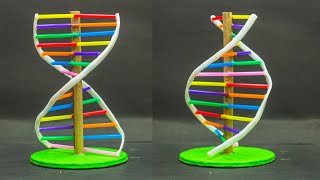 School Science Projects  DNA Model [upl. by Akitan954]