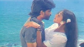 Vikram Movie Songs  Neevele Na Pranam  AkkineniNagarjuna Shobana Annapoorna [upl. by Wsan]