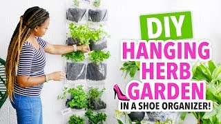 DIY Indoor Herb Garden in a Shoe Organizer  HGTV Handmade [upl. by Kamerman]