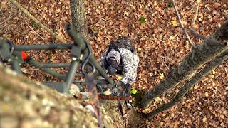 Treestand Setups For High Pressure Hunting [upl. by Ahtinak28]