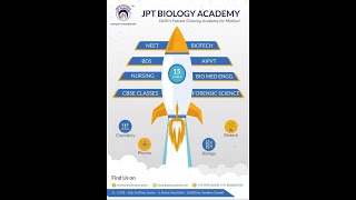 Human excretory system [upl. by Oludoet]