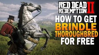 How To Get RARE Brindle Thoroughbred FREE Fastest Horse Red Dead Redemption 2 Best Horses RDR2 [upl. by Lynnet449]