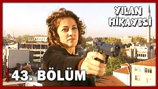 Yılan Hikayesi 43Bölüm  FULL BÖLÜM [upl. by Adnik]