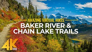 4K Virtual Hike Near River through the Forest  Baker River Trail amp Chain Lake Trail [upl. by Yelwah]