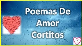 Poemas De Amor Cortitos Para Enamorar A Mi Novia [upl. by Elidad226]