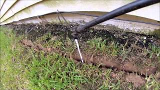 easy way to kill termites [upl. by Enyehc]