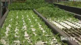 Aquaponics Farming of the Future  Sci NC [upl. by Aihsein]