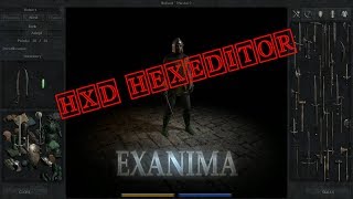 Exanima How to Add Custom Items to the Arena Hexeditor [upl. by Lennej317]