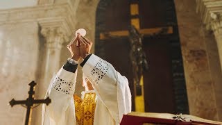 Ordination to the Priesthood Catholic Diocese of Buffalo NY 2016 [upl. by Aiderfla]