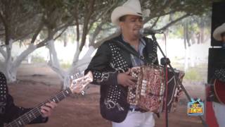 Los Alameños De La Sierra  El Burrero Culon En Vivo [upl. by Cristal450]