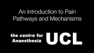 An Introduction to Pain Pathways and Mechanisms [upl. by Tymes810]