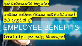 සේවක පාරිතෝෂිතය ගැන ඔබ දන්නවාද  Gratuity  Employee Retirement Benefits  Sinhala [upl. by Etnecniv498]