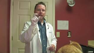 How to Administer Oral Medication to Cats [upl. by Longan55]