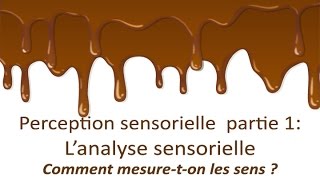 Perception sensorielle partie 1  lanalyse sensorielle cest quoi [upl. by Cappella874]