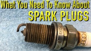 What You Need To Know About Spark Plugs [upl. by Woolcott]