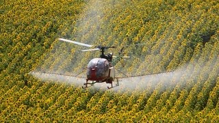 Aérospatiale SA318C Alouette II spraying flight near Dudar [upl. by Koeninger228]