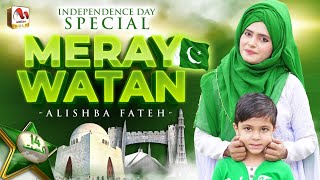 14 August Song  Meray Watan Ye Aqeedatien  Alishba Fateh  Female Version  M Media Gold [upl. by Lema]