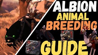 Kennels amp Pastures and How to GET STARTED  Albion Online [upl. by Ahsieuqal]