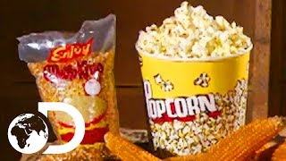 POPCORN  How Its Made [upl. by Niac]