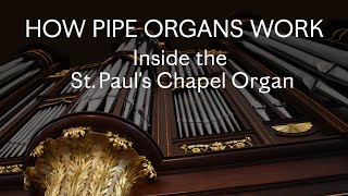 How Pipe Organs Work Inside the St Paul’s Chapel Organ [upl. by Carnes408]