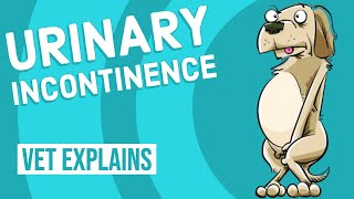 Urinary Incontinence in Dogs [upl. by Balough]