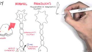 Pharmacology  Parkinsons Disease [upl. by Akihsan]