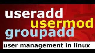 useraddusermodgroupadd user management commands in linux [upl. by Irahs]